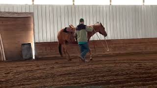 Horsemanship for competitors, Barrel racers, Ropers, Steer wrestler‘s, Equestrians￼, Part 1of 2