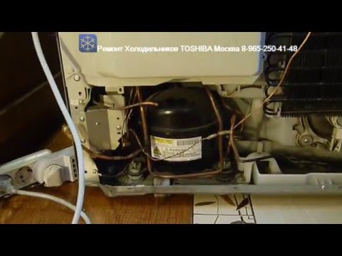 Ремонт Холодильников ТОШИБА TOSHIBA Москва Ремонт Холодильников ТОШИБА TOSHIBA Москва