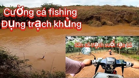 Câu cá suối rạc bé, đụng chạch khủng
