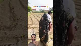 Ghar Ki Murgi Sag Barabar🥺😂 #funnyvideo #comedy #viralreels #shortsfeed