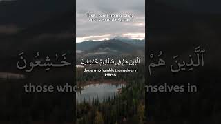 Daily dose of Qur'an!