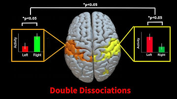 Double Dissociations in fMRI