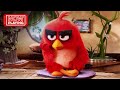 The Angry Birds Movie Anger Management 