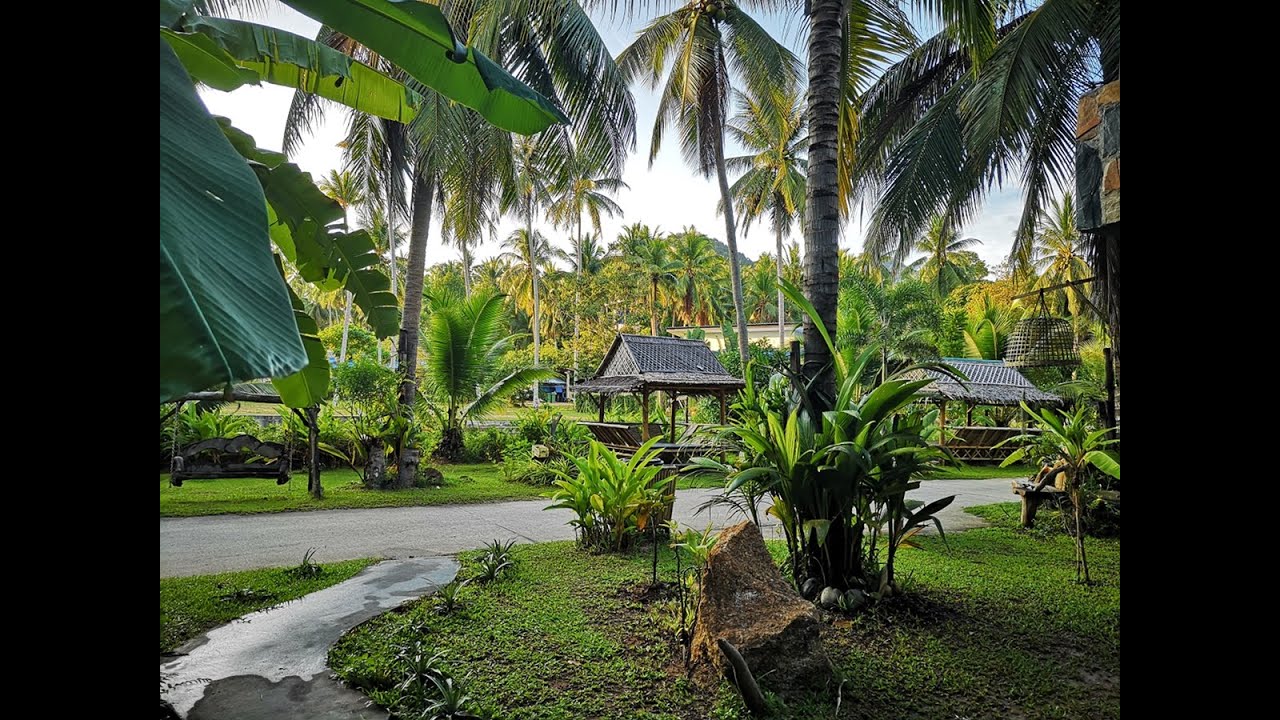 Wonderland Healing Center - Koh Phangan - Thailand