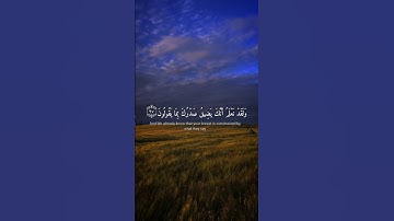 سورة الحجر ،🥰❤️