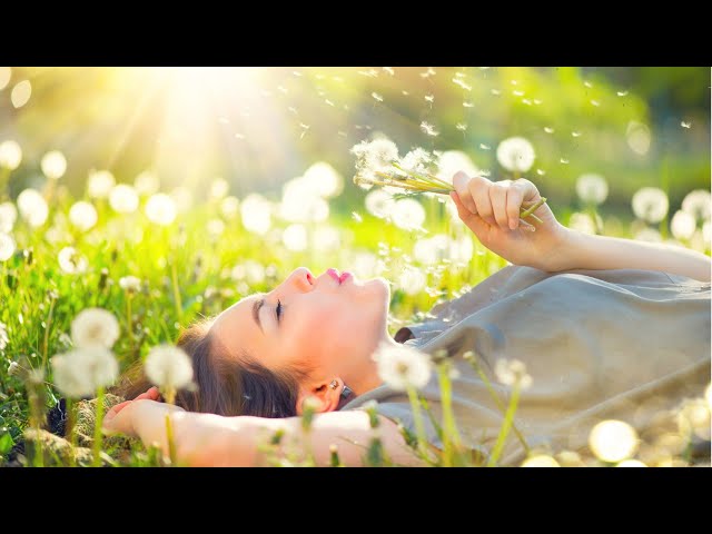 3 HOURS Relaxing Music No Loops, Piano Music, Nature Sounds, Stress Relief class=