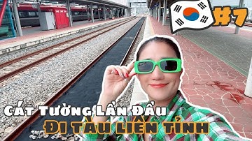 CÁT TƯỜNG lần đầu đi tàu liên tỉnh MUGUNGHWA đến BUSAN [HÀN QUỐC 2025] - TẬP 7