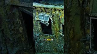 Como estão os DESTROÇOS do navio TITANIC #titanic #curiosidades #oitomundos