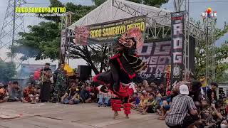 Types of Lion Dances