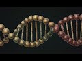 Mapping Gene Environment Interactions #breastcancer #schizophrenia #science #viralvideo #biology
