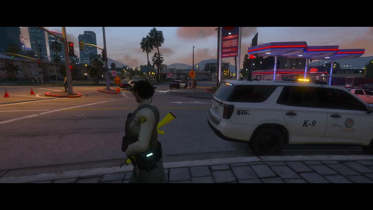 [GTAW:IO] LSSD is watching you