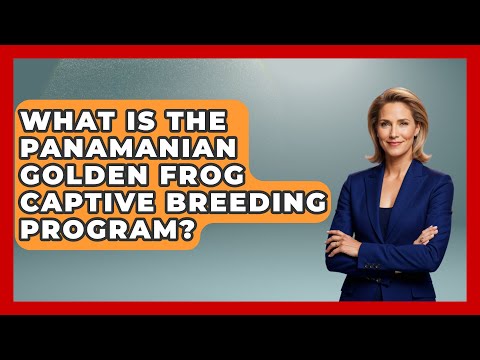 What Is The