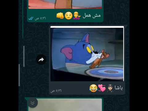 باشا بطايقكو توم وجيري 