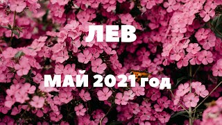 ТАРО-ПРОГНОЗ. ЛЕВ. МАЙ 2021ГОДА.