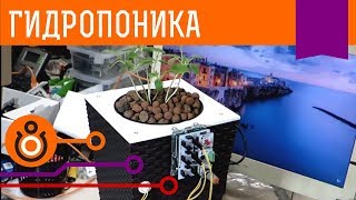 Гидропонная система периодического затопления. Проекты 2.0