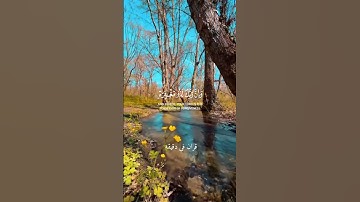 قران كريم ارح قلبك وسمعك #قران_في_دقيقة #quran #المنشاوي #المصحف #قرآن @قران_في_دقيقة