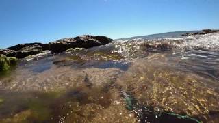 видео Температура воды в Черном море