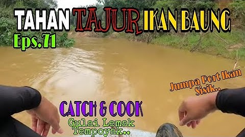 Tahan Tajur Ikan Baung | Jumpa Port Ikan Sisik