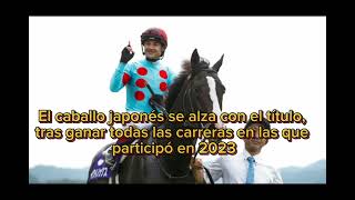 Equinox gana el premio al mejor caballo de carreras del mundo de 2023 🏇🏇