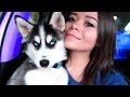 I GOT A PUPPY! | HeyItsSarai