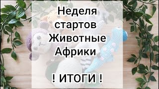 ИТОГИ / Неделя стартов 