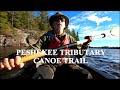 Peshekee Tributary Canoe Trail