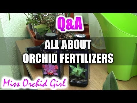Q&A - How to fertilize Orchids and what is the best fertilizer?