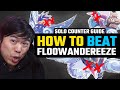 Floowandereeze Counter Guide - Weakness & Timing