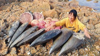 Can Ying find the big pearls from these huge seashells? Delicious + pearls