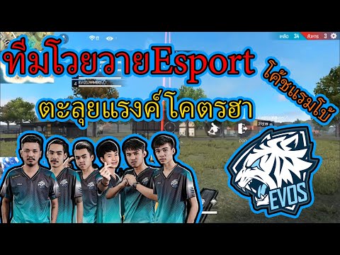 FreeFire ทีมโวยวายEsport ตะลุยแรงค์!!!