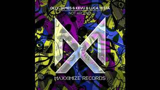 Olly James x Kevu x Luca Testa - Not Around Resimi