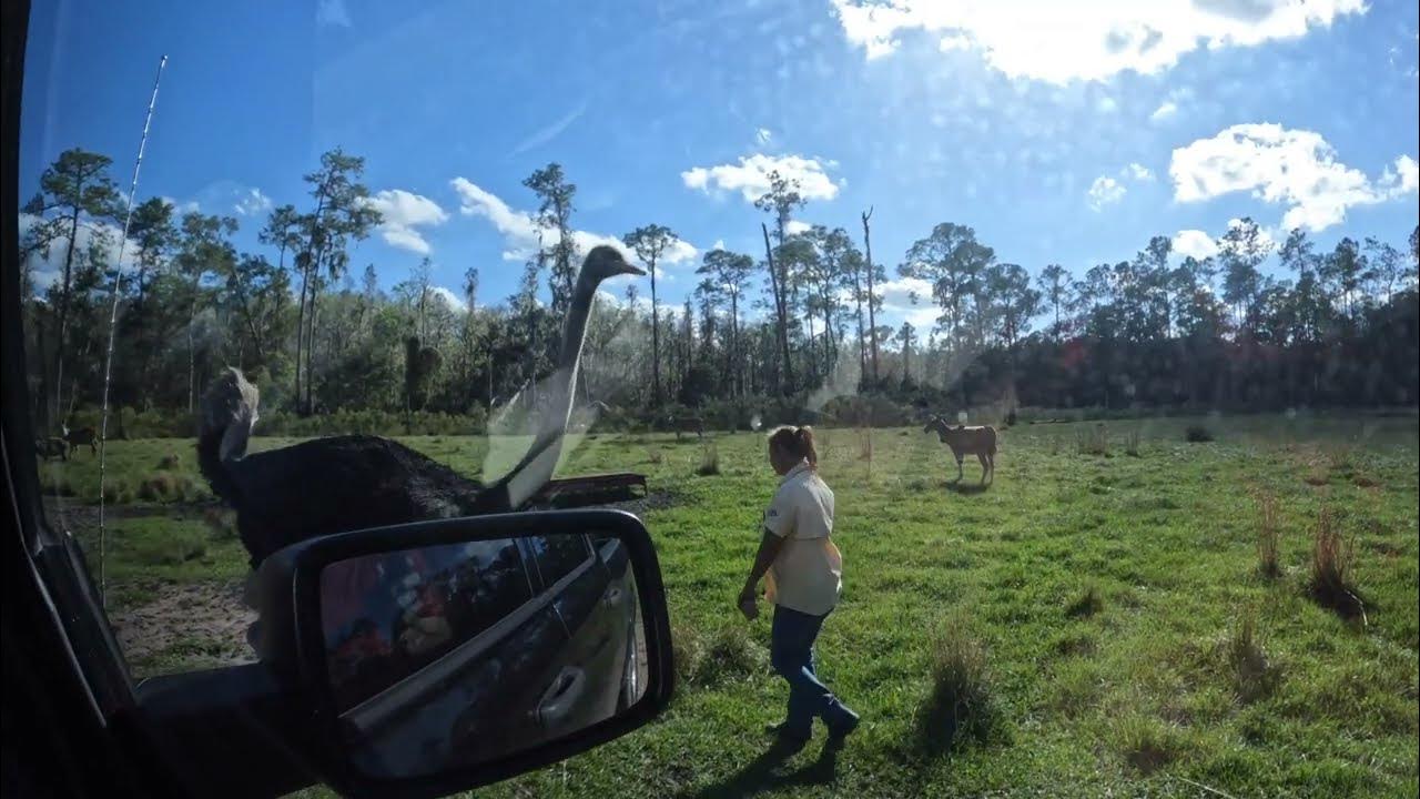 safari tour lakeland fl