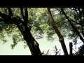 京都嵐山公園　川岸で笛を吹く美女