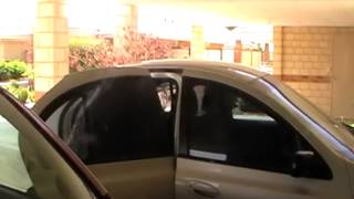 20091127 095630