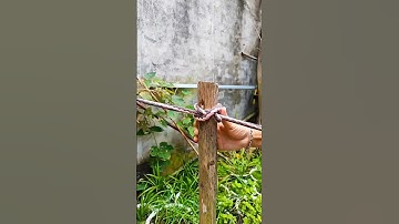Essential Rope Skill You Should Know #knowledge #knot #rope