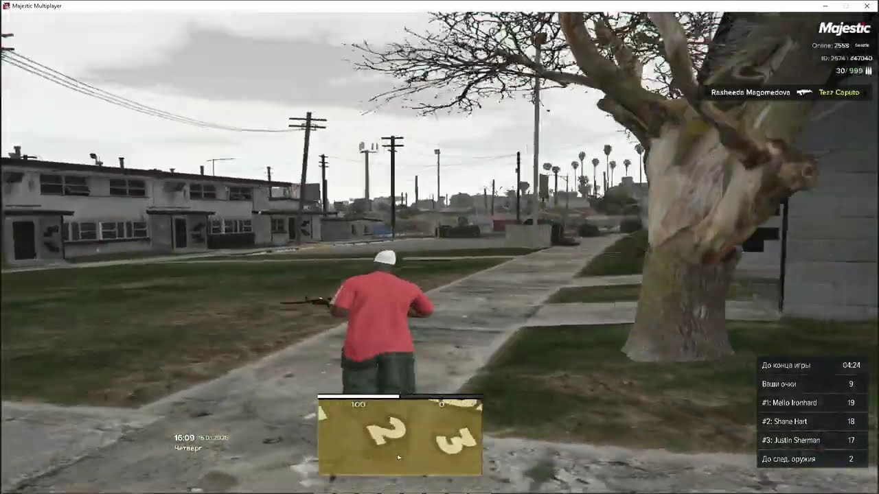 АРЕНА МАДЖЕСТИК