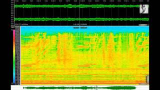 Erik Nyström - Catabolisms (2011-2012)
This is an excerpt. The original length of this composition is 12m15s.
The title alludes to phases where sound is undergoing a process of molecular milling, fragmenting into its most primitive constituents, not unlike the ‘catabolic processes’ Rudolf Arnheim described in his essay Entropy and Art. Arnheim argued that all aesthetic or functional objects are results of the opposing ‘anabolic tendency’ — a universal force of shape-building, instilling in all objects a structural theme.
In Catabolisms, an anabolic tendency is found also in destructive forces, as implosions and corrosions become aesthetic phenomena in their own right. Energy dissipating among these textures builds a momentum which breeds new formations in a continual morphogenesis. Thus the work shapes its own destiny, as lumpy, powdery, sticky, porous aggregations of particles are strung up into spectral clouds, strata, and cascades in an interaction among turbulent forces. As in our physical world, crises occur where creation and decay are in synergy; entropic byproducts become a fertile terrain for a self-propagating universe of sound.
Catabolisms was realized in 2011-12 in the Electroacoustic Studio of City University London (UK) and premiered on April 17, 2012 during the SuperCollider Symposium 2012 at City University London.
Video created with Audacity, Sonic Visualizer, vokoscreen and OpenShot on an openSUSE 13.2 Linux System. Erik Nyström - Catabolisms (2011-2012)