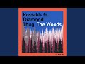 The woods kostakis lost in the woods edit