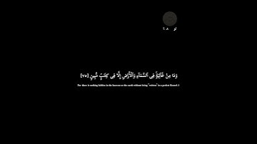 سورة النمل: الاية [74و75]#قرآن كريم #نور#سكينة #إيمان #تدبر#طمأنينة#رحمة #خشوع#راحة_القلوب#اطمئنان
