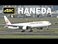 [4K] Plane Spotting at Tokyo Haneda Airport Terminal 3 / 羽田空港 JAL AIR DO