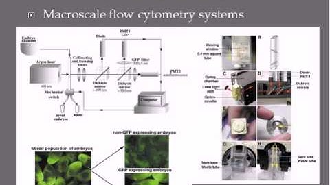 Design Principles: Chapter 11: Mico Total Analysis Systems (uTAS): LAB-ON-A-CHIP