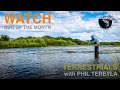 Bug of the month  fly fishing terrestrials with phil tereyla