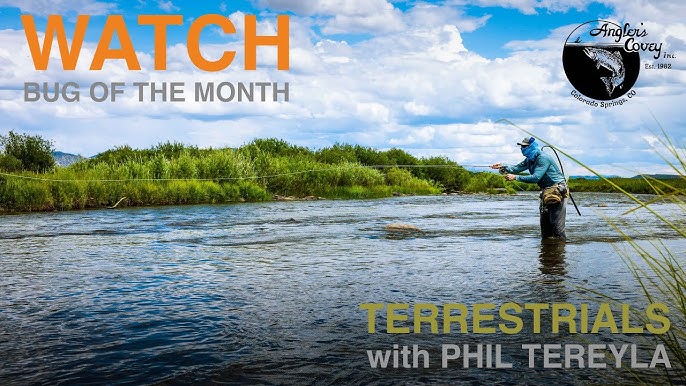 Bug of the Month - Leeches with Phil Tereyla #flyfishing 
