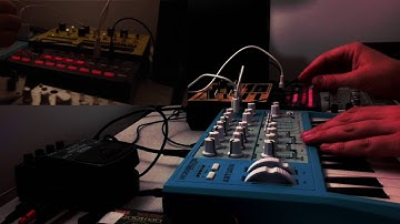 Microbrute filter rhythms