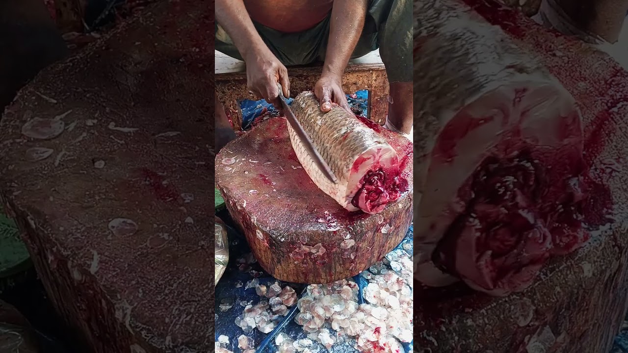 Daily Fish Cutting Routine | Fast, Clean & Professional Fish Cleaning with Perfect Knife Control