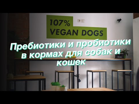 Пребиотики и пробиотики в кормах для собак и кошек