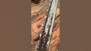 Ripping Chain? 🪓  Ehhh.... #stihl #logging #woods #firewood #trees #chainsaw #industrial #timber