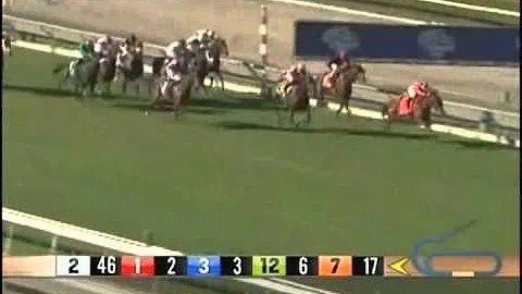 Ramon Dominguez Highlights