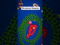 🐍WormsZone.io ❤001 Snake Top01 /Best World Record Snake Epic cacing WormsZoneio #shortsfeed #002