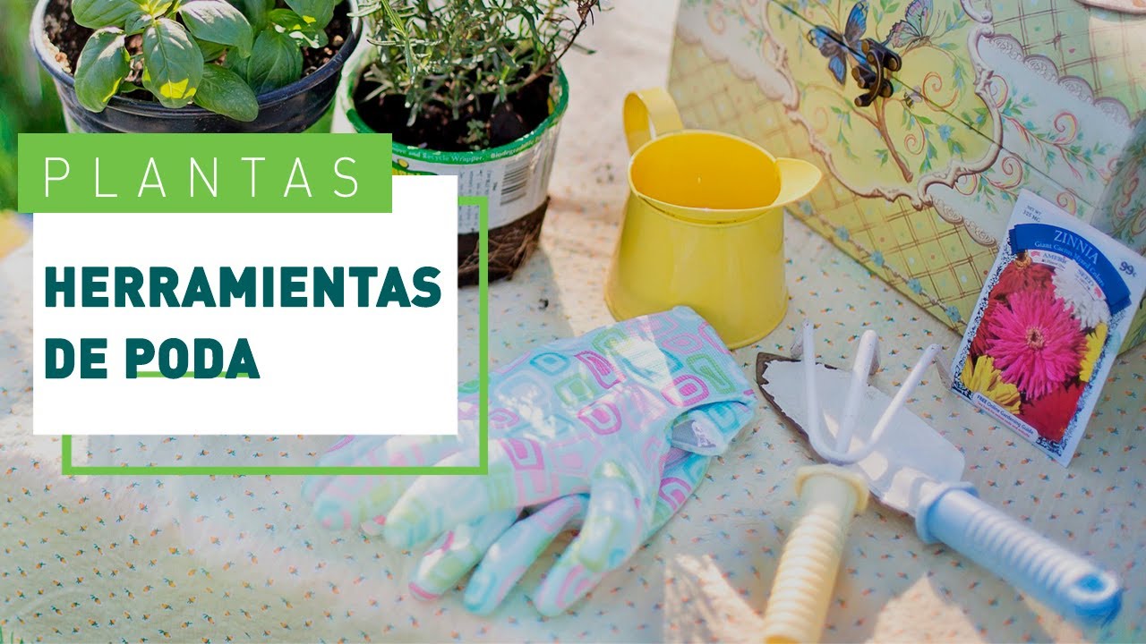 Herramientas de jardinería imprescindibles | Verdecora - YouTube